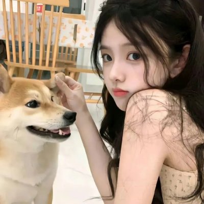 会计师2